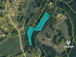 Prodej lesa, Višňová, 8074 m2