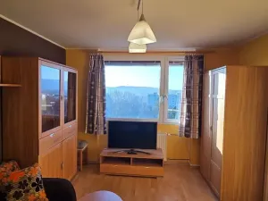 Pronájem bytu 1+1, Ústí nad Labem, Zvonková, 36 m2