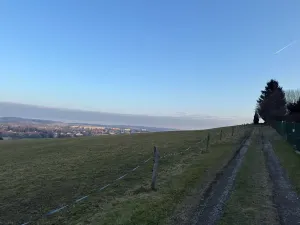 Prodej chaty, Ústí nad Orlicí, 10 m2