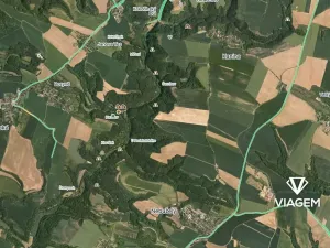 Prodej podílu lesa, Kokořín, 7736 m2