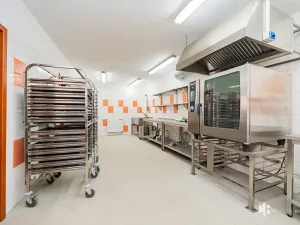 Pronájem výrobních prostor, Zlonín, Hlavní, 50 m2