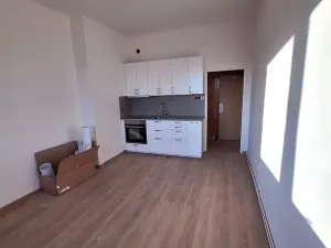Pronájem bytu 1+kk, Praha - Michle, Jihlavská, 24 m2