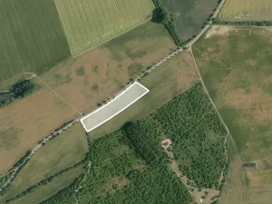 Prodej podílu pole, Zbuzany, 3273 m2