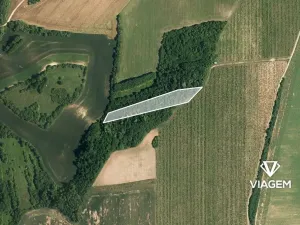 Prodej podílu lesa, Kyjov, 1102 m2