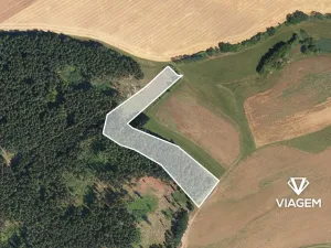 Prodej podílu lesa, Mříčná, 3898 m2