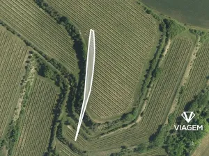 Prodej podílu pole, Uherčice, 206 m2