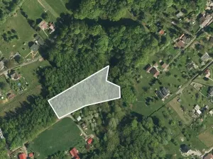 Prodej lesa, Orlová, 4764 m2