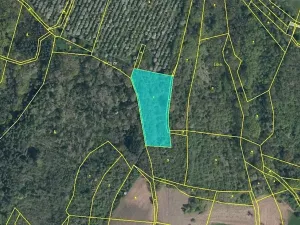 Prodej pole, Vinařice, 5664 m2