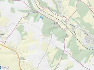 Prodej lesa, Horní Olešnice, 7037 m2