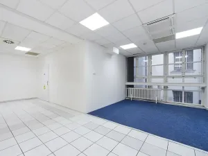 Pronájem kanceláře, Brno, Masarykova, 505 m2