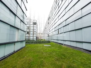 Pronájem bytu 2+kk, Praha - Karlín, Šaldova, 51 m2