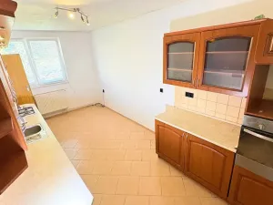 Prodej chalupy, Nová Včelnice, 220 m2