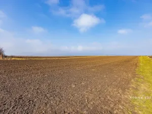 Prodej vícegeneračního domu, Chotiněves, 495 m2