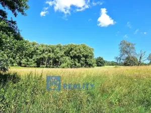 Prodej louky, Trutnov - Babí, 68585 m2