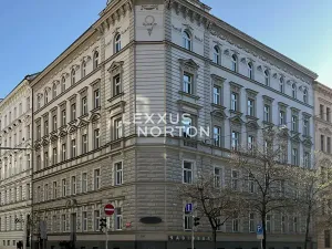 Prodej bytu 1+1, Praha - Nové Město, Wenzigova, 47 m2