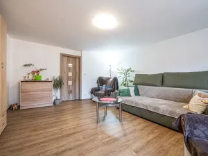 Prodej rodinného domu, Plavy, 336 m2