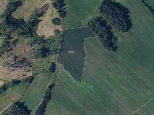 Prodej pole, Věžná, 11594 m2