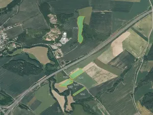 Prodej louky, Starý Plzenec, 59266 m2