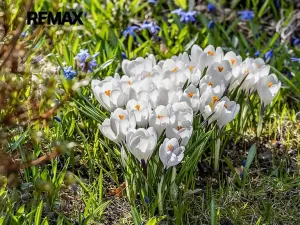 Prodej rodinného domu, Nový Bor, Hřebenka, 294 m2