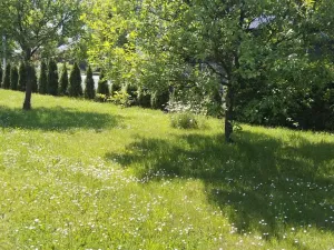 Prodej obchodního prostoru, Bystřice pod Hostýnem, Přerovská, 420 m2