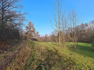 Prodej louky, Vilémov, 7357 m2