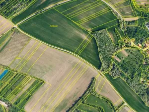 Prodej sadu/vinice, Nikolčice, 2568 m2