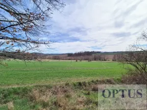 Prodej pozemku pro bydlení, Neveklov, 3385 m2