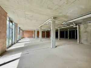 Pronájem obchodního prostoru, Hradec Králové, Kollárova, 3447 m2