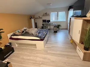 Prodej rodinného domu, Kroměříž, 234 m2