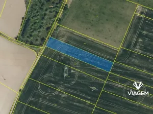 Prodej pole, Choltice, 2392 m2