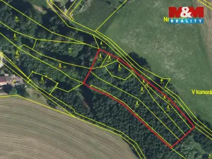 Prodej lesa, Košťálov - Kundratice, 4244 m2