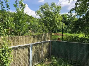 Pronájem bytu 1+kk, Brno, Pastviny, 32 m2