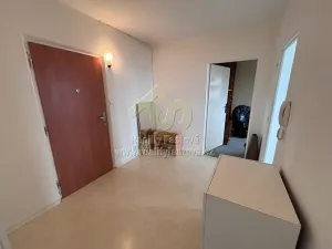 Pronájem bytu 2+1, Plzeň, Terezie Brzkové, 64 m2