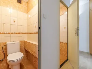 Pronájem bytu 2+kk, České Budějovice, V. Volfa, 44 m2