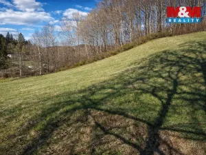 Prodej louky, Janův Důl, 2749 m2