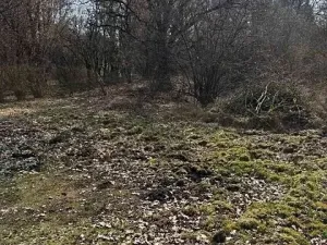 Prodej podílu pozemku, Kamenice, 1081 m2