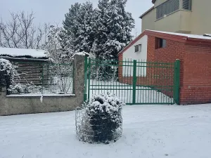 Pronájem garážového stání, Praha - Žižkov, Pod vrcholem, 5 m2