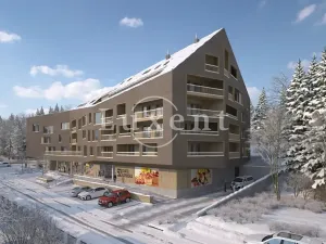 Prodej bytu 1+kk, Železná Ruda, 39 m2