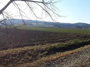 Prodej pozemku pro bydlení, Libina, 1180 m2