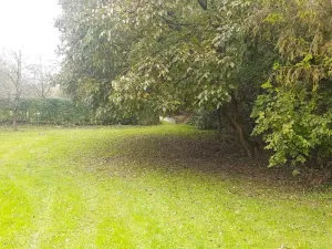 Prodej zahrady, Libina, 239 m2