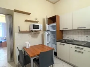 Pronájem bytu 3+kk, Praha - Nové Město, Tyršova, 45 m2