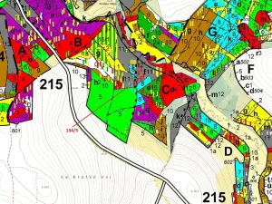 Dražba lesa, Žižkovo Pole, 8330 m2