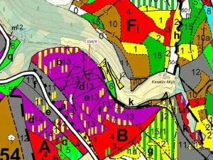 Dražba lesa, Žižkovo Pole, 5060 m2