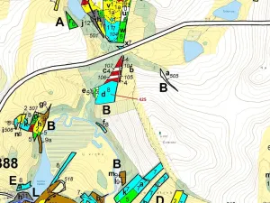 Dražba lesa, Strmilov, 7499 m2