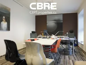 Pronájem kanceláře, Praha - Nové Město, Václavské náměstí, 190 m2