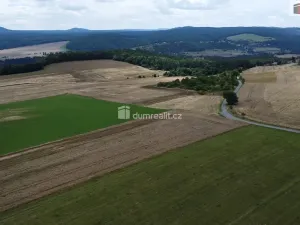 Prodej pozemku, Sýkořice, 3943 m2