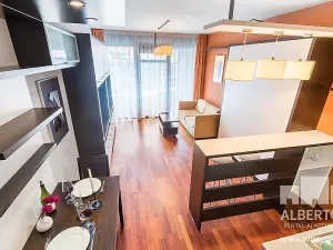 Pronájem bytu 1+kk, Praha - Nusle, Sekaninova, 33 m2