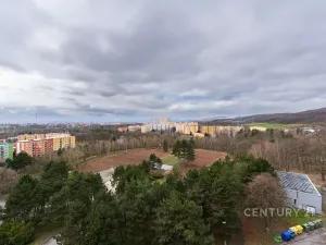 Prodej bytu 2+1, Chomutov, Kamenný vrch, 58 m2