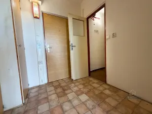 Prodej bytu 1+kk, Plzeň - Severní Předměstí, Hodonínská, 31 m2