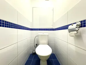 Pronájem bytu 3+1, Hradec Králové - Moravské Předměstí, Sekaninova, 76 m2